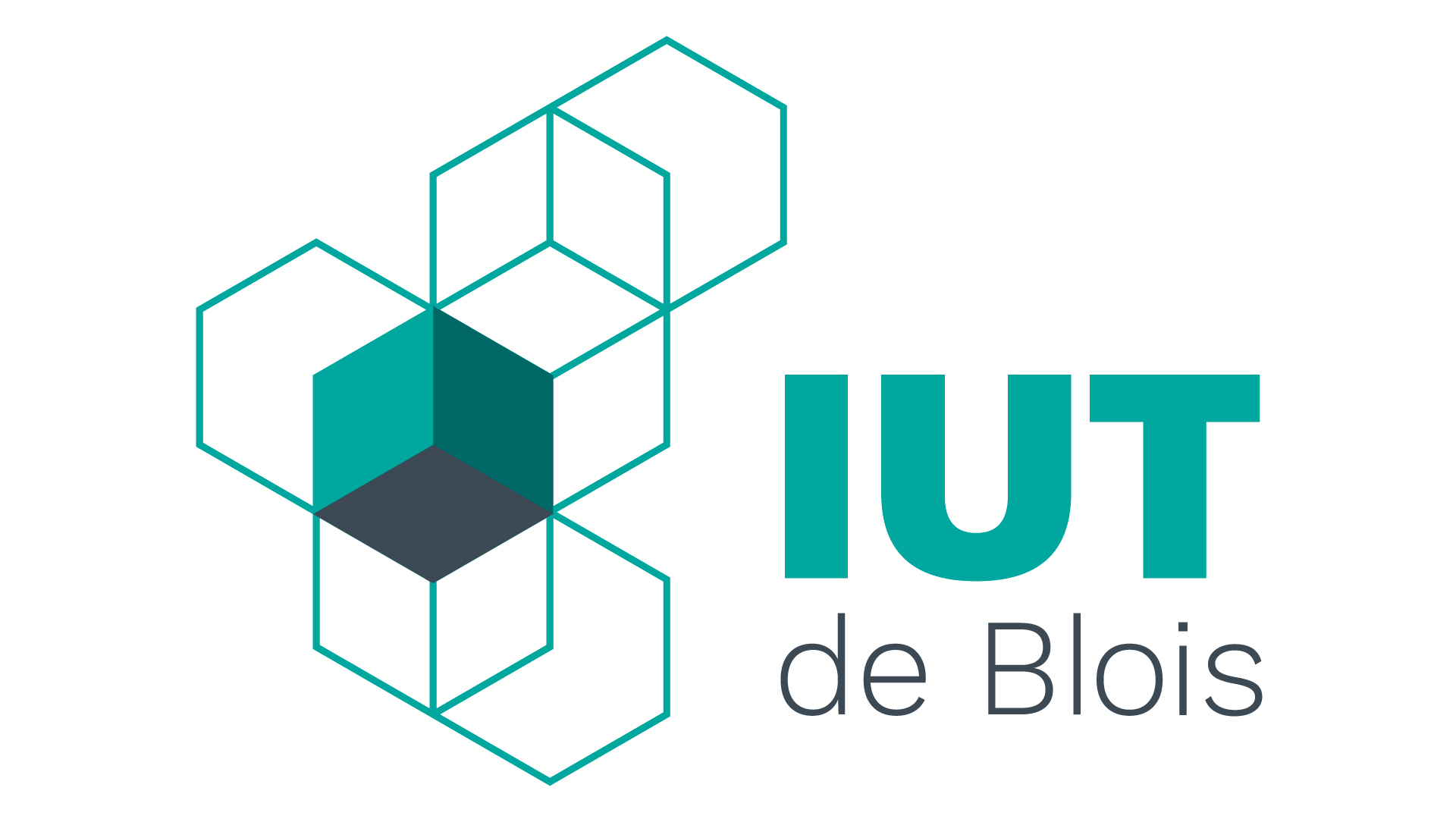 Iut su. IUT формула. IUT logo. Blois’ loss.